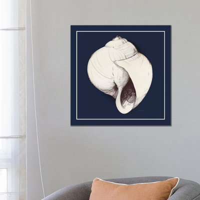 Coastal Shell I With Border Navy by Avery Tillmon - Wrapped Canvas Painting