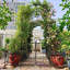 Metal Garden Arch With Gate 79.5'' Wide X 86.6'' High Climbing Plants Support Rose Arch Outdoor-167527664