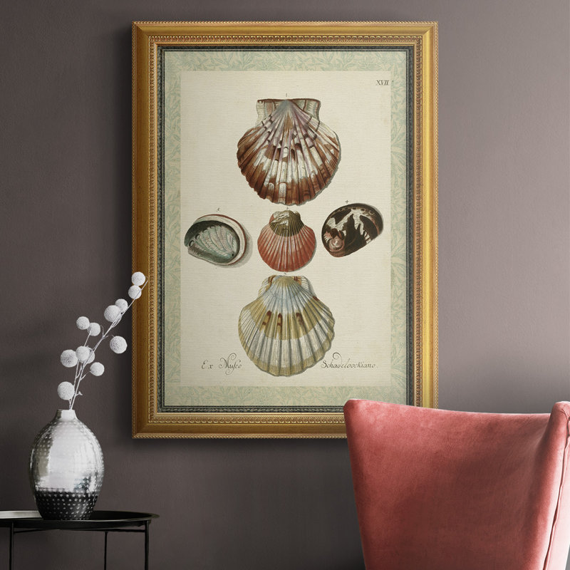 «Bookplate Shells III», reproduction sur toile encadrée, H 36 po x l 24 po