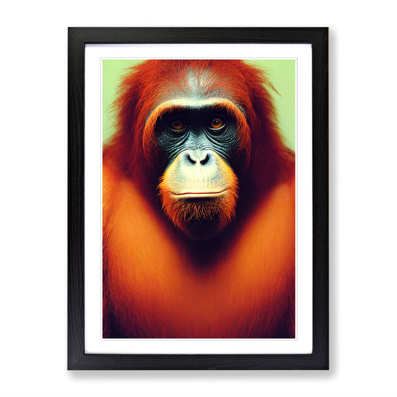Orangutan Portrait Vol.3 - Picture Frame Print, Black, 34cm H x 25cm W x 2cm D