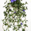 Plante de liseron suspendue de 112 cm