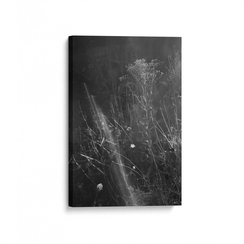 «Meadow II» par Tony Smith, reproduction d'art sur toile, H 36 po x l 24 po