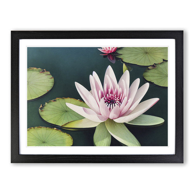 Angelical Water Lily Flowers - Single Picture Frame Print, 46cm H x 64cm W x 2cm D, Black Framed