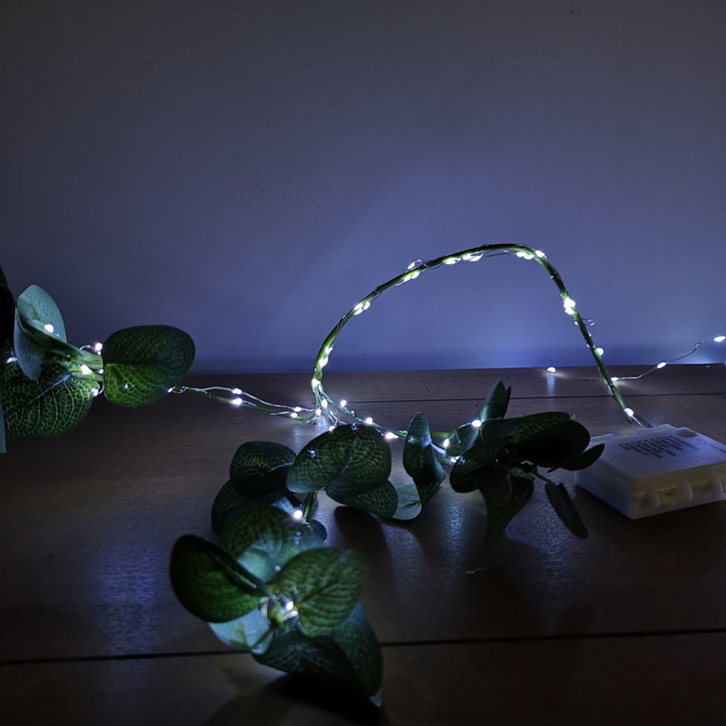 50 - Bulb 250 cm Battery Powered Standard LED, Rainbow