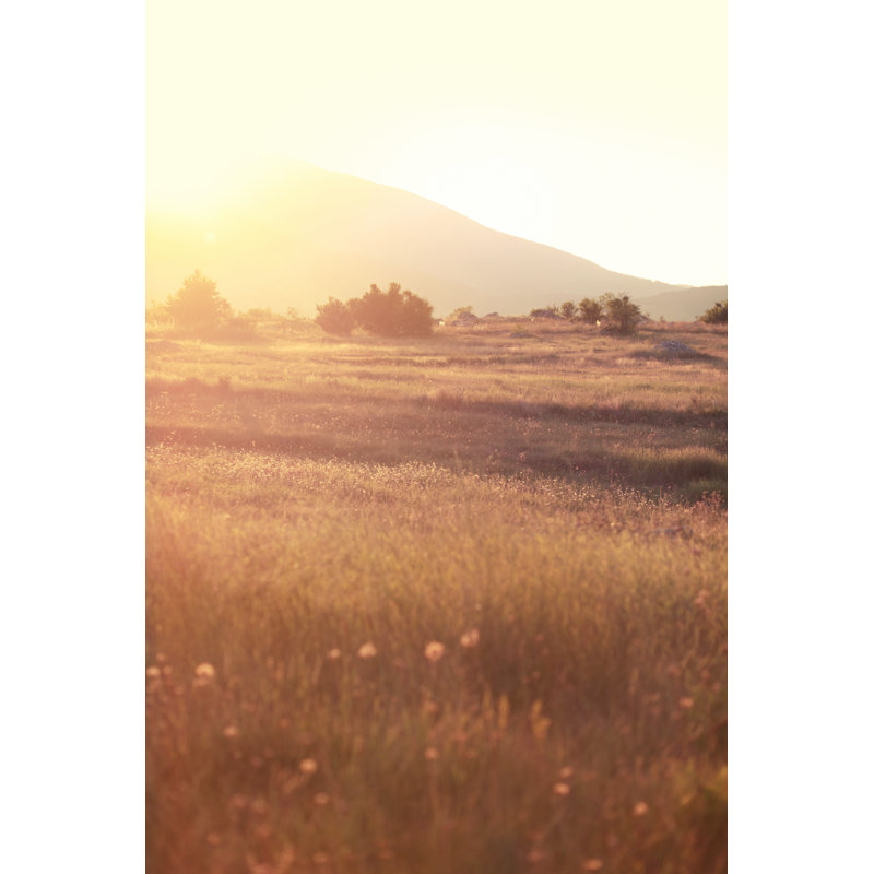 Indian Nature Meadow by Lechatnoir - Wrapped Canvas Print, 76cm H x 51cm W