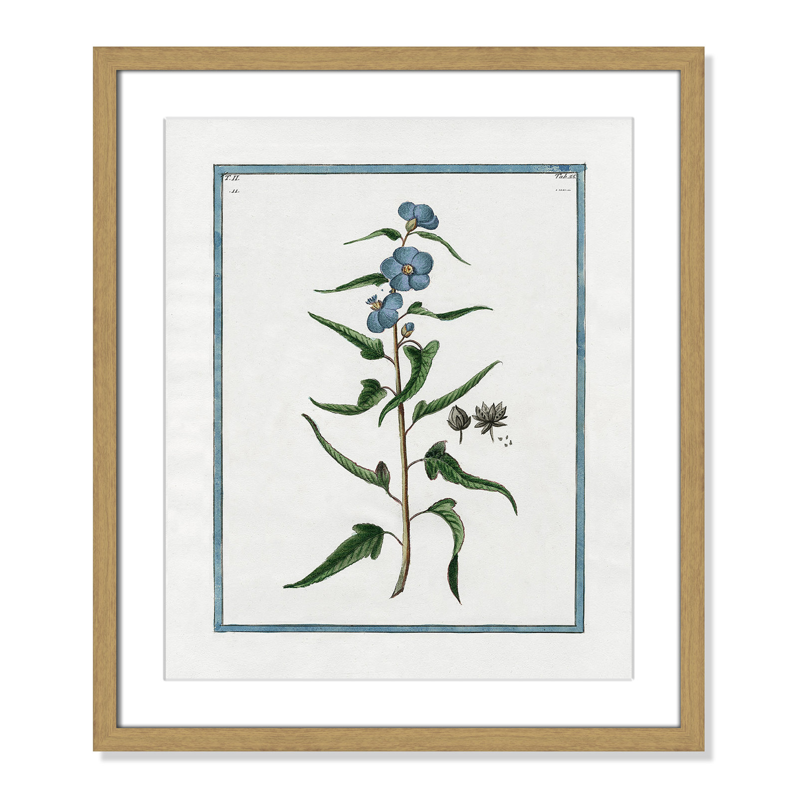 Shabby Elegance Botanical I - Framed Art Full Bleed, 16" W x 19" H, Natural Framed