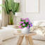Pot Planter-737266584