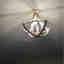 Photos des clients 1 de 1