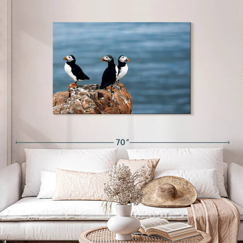 Brampt Puffins In Iceland
