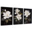 3 Piece Wrapped Canvas Print-2088623225