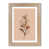 French Oak is out of stock