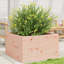 2 Wood Planter-100491930-100491953