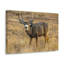 No Frame Print on Canvas