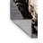 Washable Indian Rhinoceros Wildlife Area Rug-1005356809
