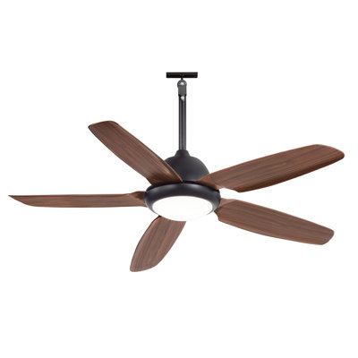 Cissline 52" Indoor/Outdoor Modern Brown Blade Waterproof Plug-in Ceiling Fan With Light and Remote Control for Patios & Covered Spaces
