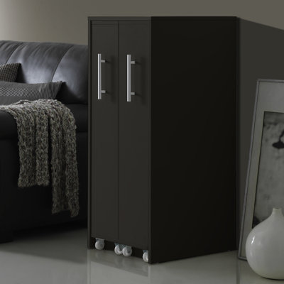 Josielyn Storage Bookcase