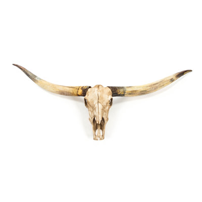Bull Skull Handmade Rustic Landscape & Nature Resin Wall Decor