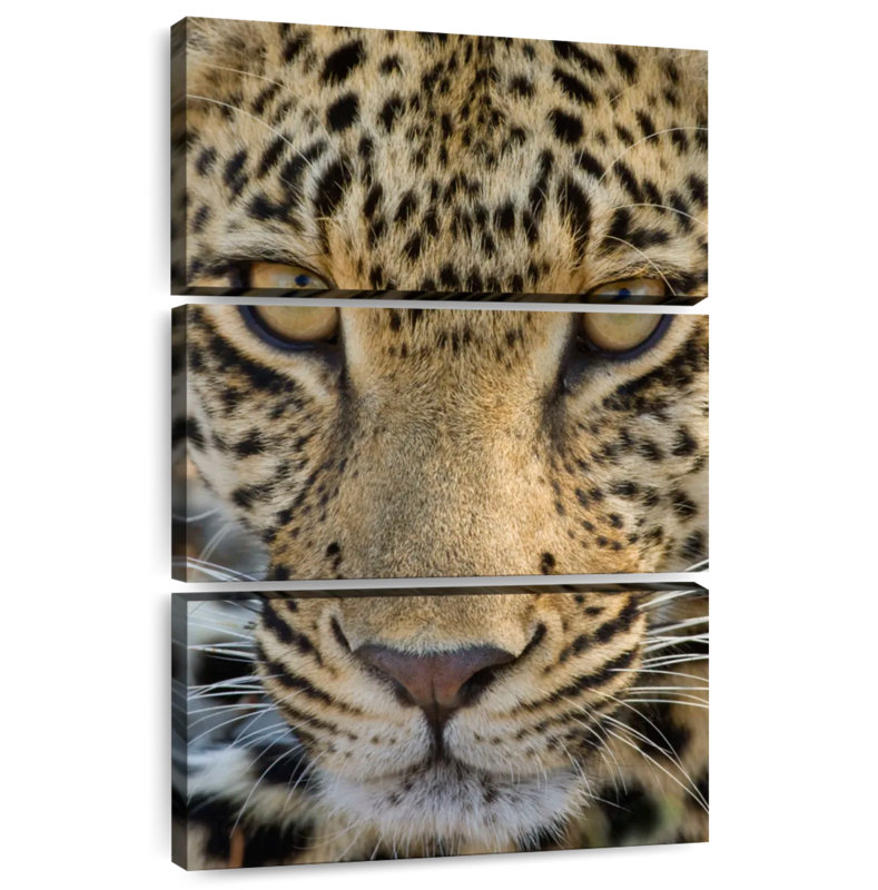 Visage de léopard Brampt, H 74 po x l 48 po