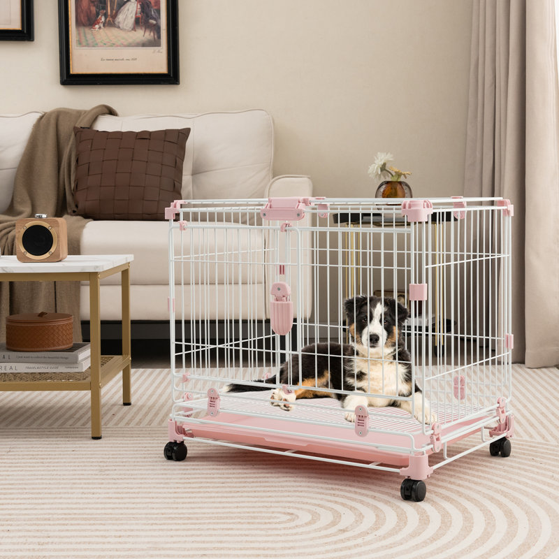 Arrowsic Collapsible Pet Crate with 2 Doors