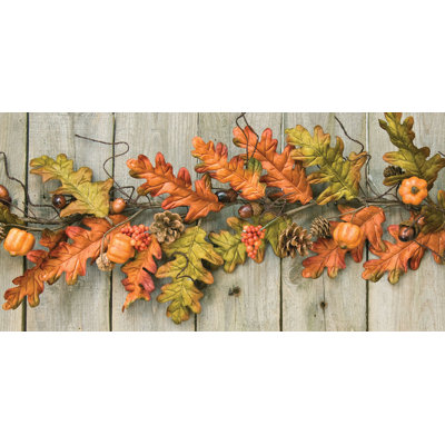 Pinto 5.75'' in. Garland