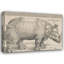 Rhinocéros-1940459482