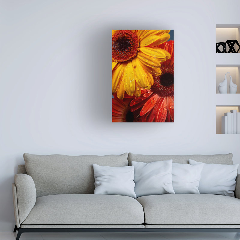 Gerbera bolognaise fleurs et gouttes d'eau, H 47 po x l 30 po x P 2 po