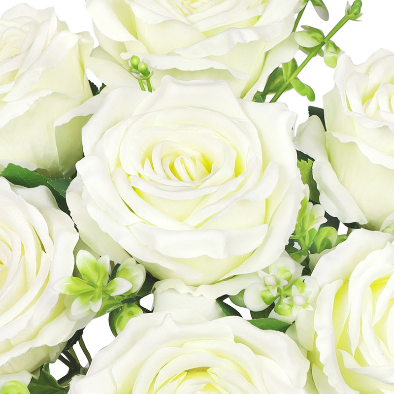 Roses, buissons, Blanc crème