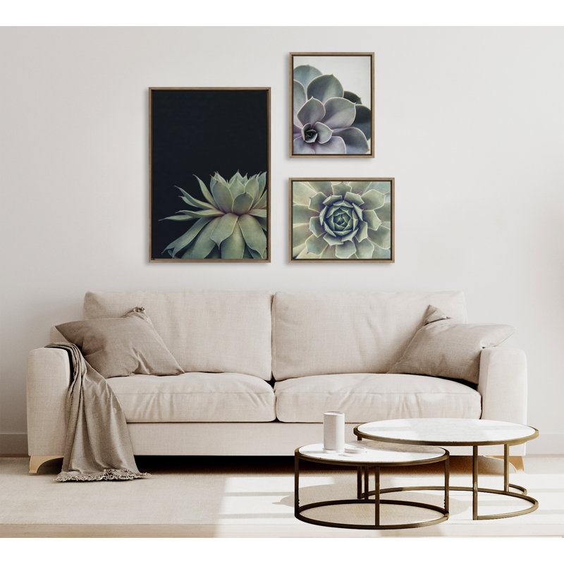 «Succulent 8, Succulent 1 and Succulent 5» par Emiko et Mark Franzen, ensemble de 2 toiles encadrées, Vert / noir / blanc