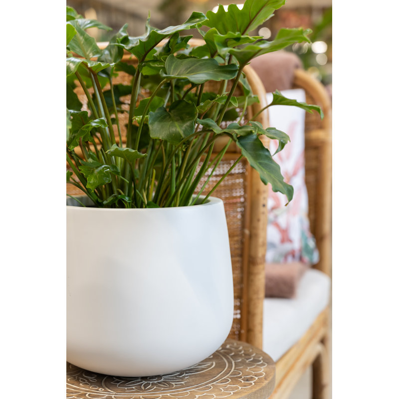 Outdoor Glossy White Fiberstone Pot