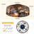 20'' 6-Speed Farmhouse Reversible Caged Ceiling Fan With Light Kit And Remote