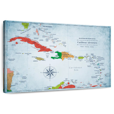 Wanderer I Push Pin Caribbean Alvertia