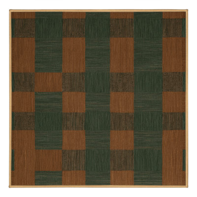 Machine Washable Checkered Brown Area Rug