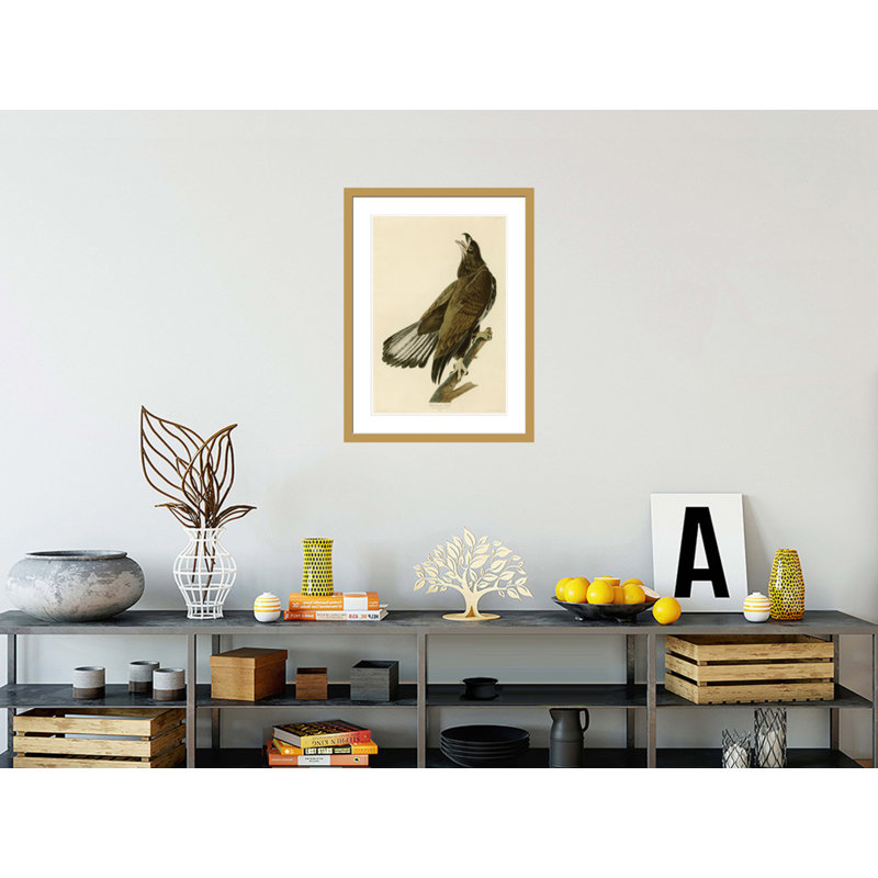Aigle à tête blanche par John James Audubon, impression giclée sur cadre, H 29,5 po x l 22 po