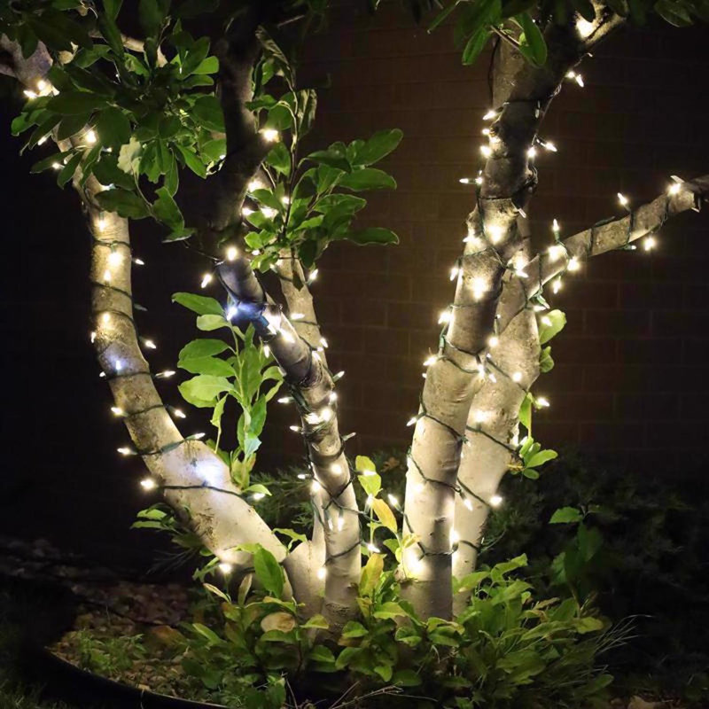  Guirlande de lumières platine T5 de 50 pi, Blanc chaud