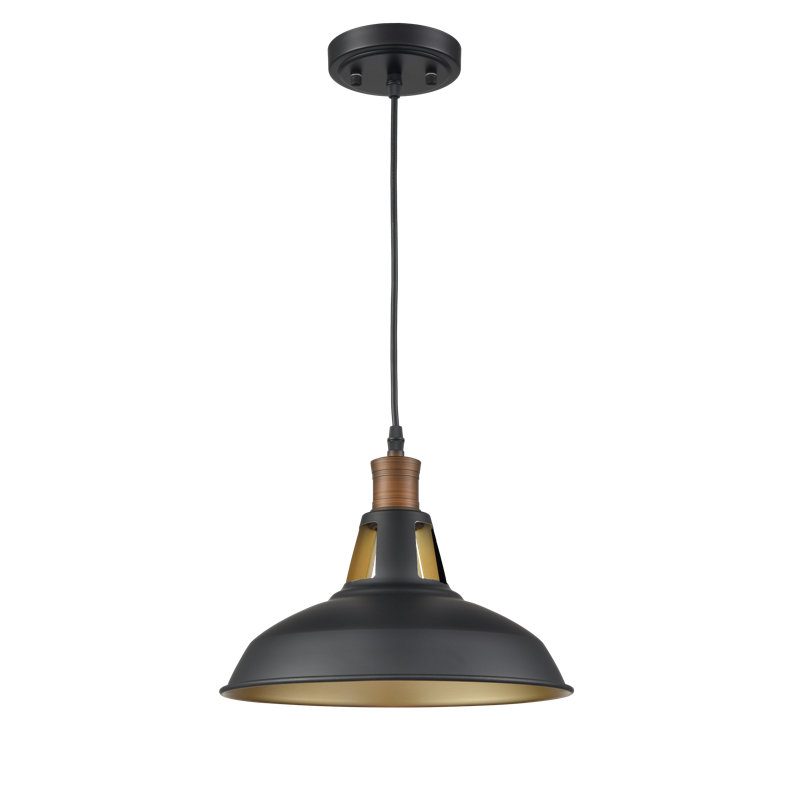 Reina 1 - Light Single Pendant, Black/Brass