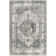 Charvi Distressed Medallion Fringe Area Rug