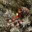 Dunhill Fir Slim 4.5' Hinged Artificial Christmas Tree with 350 Clear Lights-562828554