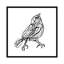 Chin Up - Cute Little Bird Jackson Pollock Style Drawing by OLena Art - Print on Canvas-63929836-63929837
