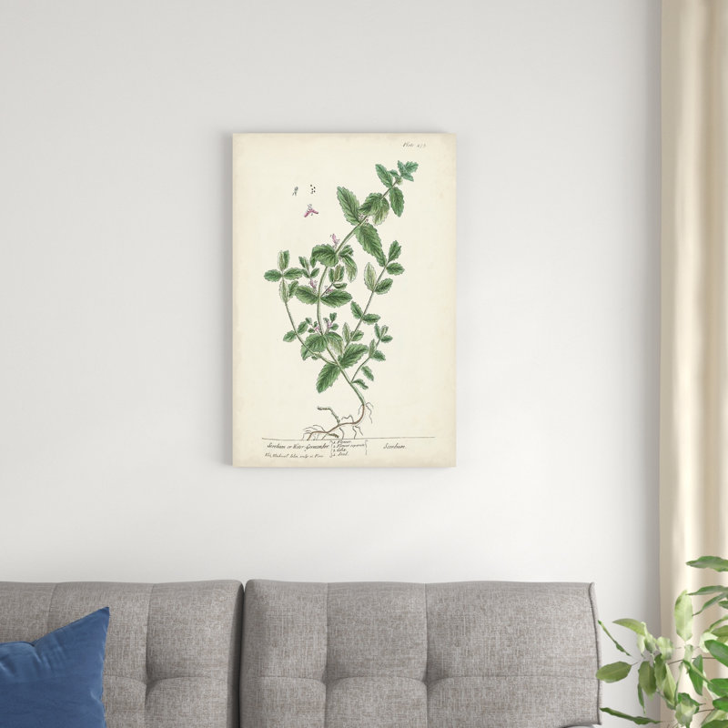 Herbes antiques, H 30 po x l 20 po