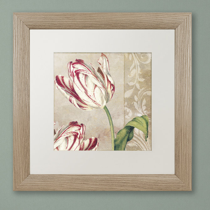«Peppermint Tulips I» par Jadaya, impression encadrée, H 16 po x l 16 po x P 0,5 po, Toile avec cadre argenté, Blanc