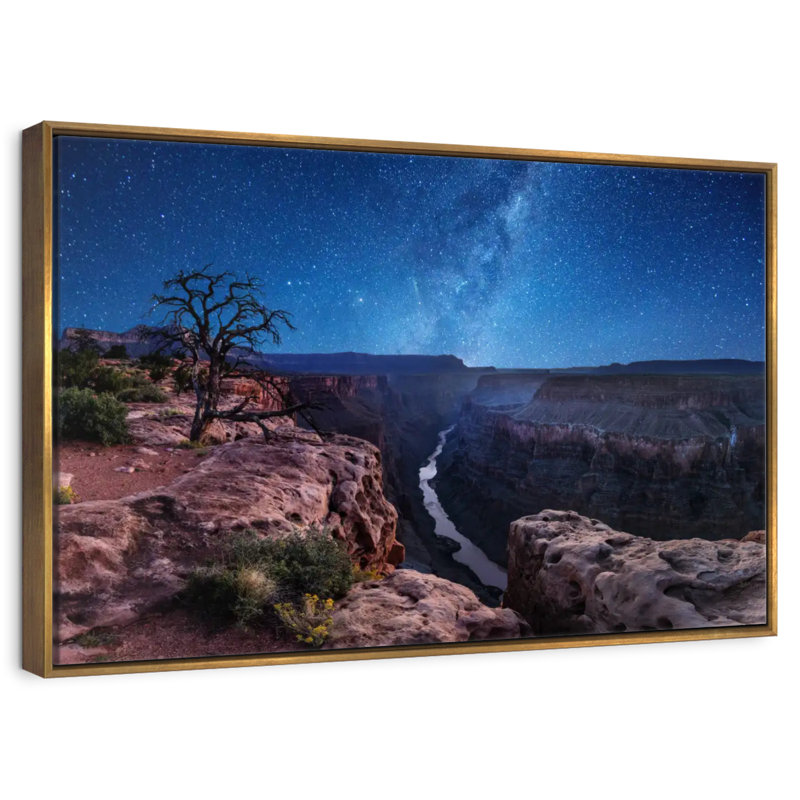 Nuit étoilée du Grand Canyon, Cadre flottant doré, 37 po x 25 po