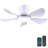 Flush Mount Ceiling Fan With Light And Remote/app-818611761-818611767