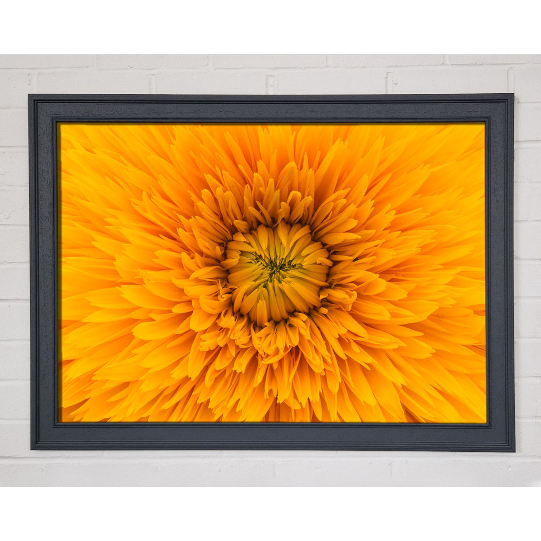 Gorgeous Yellow Flower Delight - Einzelner Bilderrahmen Kunstdrucke