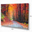 « Road In Beautiful Autumn Forest » - reproduction de photo-1524240492-1510207584-1561591361