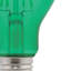 Ampoules DEL à filament omnidirectionnel A19 vertes de 4,5 W (équivalent 40 W), culot moyen (E26), lot de 2-134877178-134877181