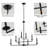 Evanjames 8 - Light Classic / Traditional Chandelier