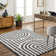 Rectangle Geometric Machine Woven Polyester Area Rug in Charcoal/White