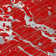 Machine Washable Indoor/Outdoor Chayden ACN1046 Red