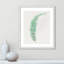 Delicate Botanical II '- Reproduction d'art sur papier encadrée-55038364-55038369