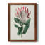 Protea N13 - Peinture sur toile encadrée-267897840-267897610